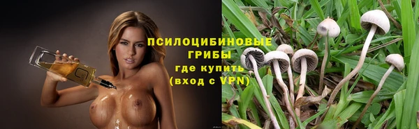 ПСИЛОЦИБИНОВЫЕ ГРИБЫ Алзамай