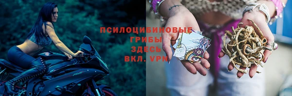 ПСИЛОЦИБИНОВЫЕ ГРИБЫ Алзамай