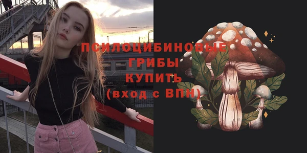 ПСИЛОЦИБИНОВЫЕ ГРИБЫ Алзамай