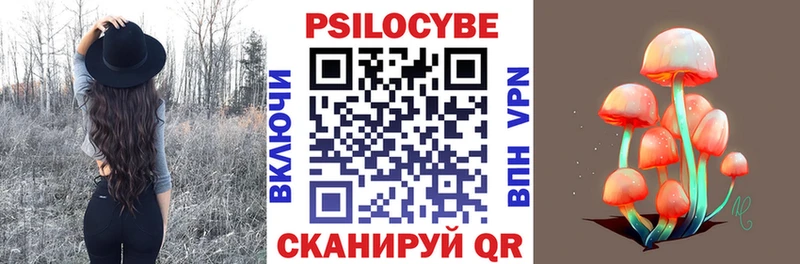 Псилоцибиновые грибы Psilocybe  Апатиты 
